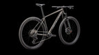 Epic Hardtail Comp - SRAM S-1000 AXS, RockShox SID SL (2025) — Satin Gunmetal / Metallic White Silver — detail 30