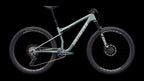Epic 9 Expert (2027) — Gloss Agave Grey / Metallic White Silver — side view