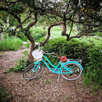 sixthreezero EVRYjourney Women's 24" 7 Speed Step-Through Touring Hybrid Bicycle — product view 146