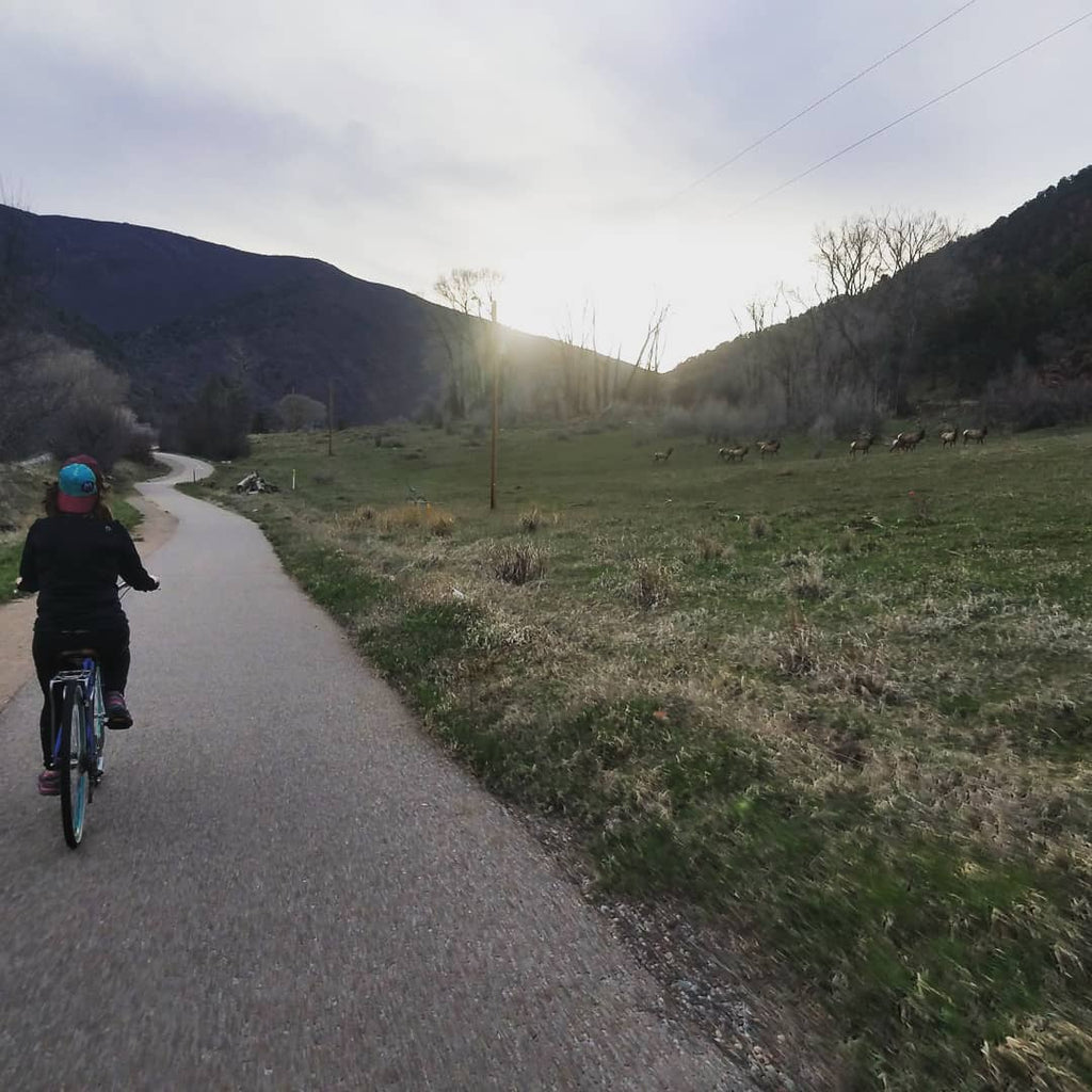 sixthreezero EVRYjourney Women's 26" Single Speed Step-Through Touring Hybrid Bicycle — product view 218