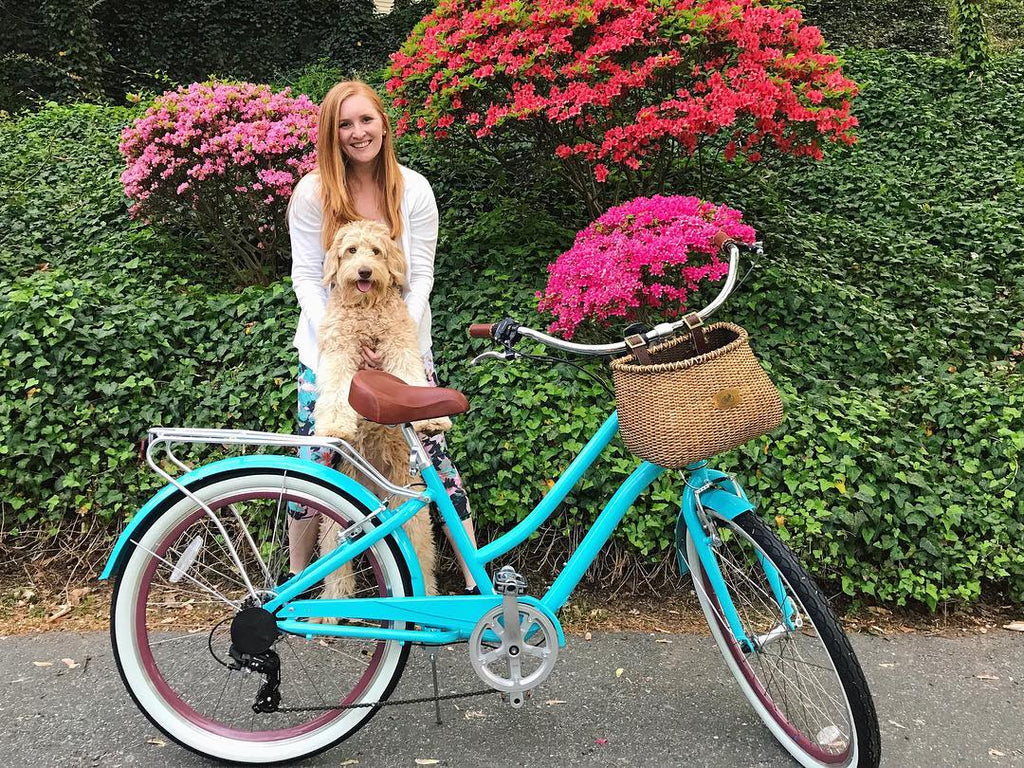 sixthreezero EVRYjourney Women's 26" Single Speed Step-Through Touring Hybrid Bicycle — product view 219