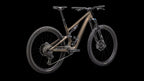 Stumpjumper 15 Comp - SRAM S-1000 AXS, FOX Performance (2025) — Satin Burnt Gold / Gunmetal — detail 30