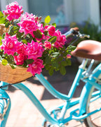 sixthreezero EVRYjourney Women's 24" 7 Speed Step-Through Touring Hybrid Bicycle — product view 163