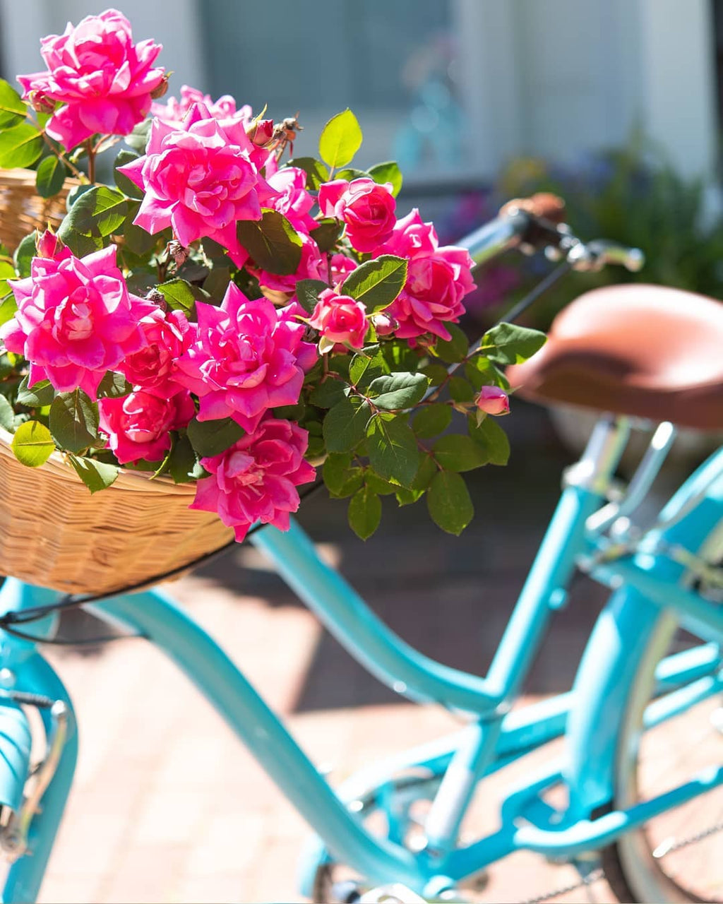 sixthreezero EVRYjourney Women's 26" 7 Speed Steel Step-Through Touring Hybrid Bicycle — product view 108