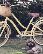 sixthreezero EVRYjourney Women's 24" 7 Speed Step-Through Touring Hybrid Bicycle — product view 170