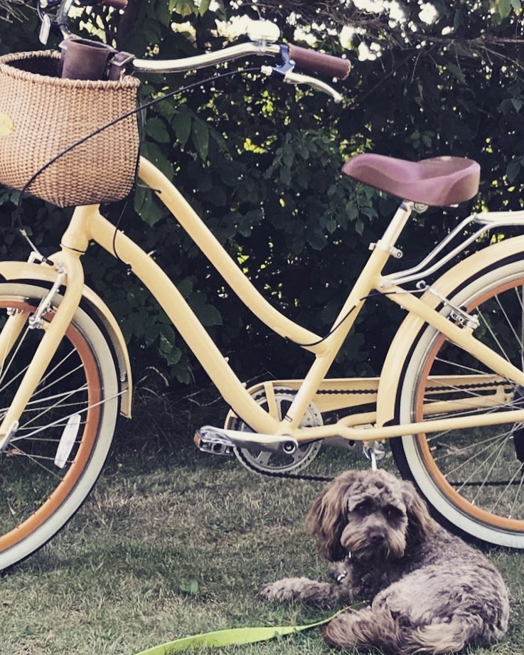 sixthreezero EVRYjourney Women's 24" 7 Speed Step-Through Touring Hybrid Bicycle — product view 170
