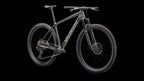 Epic Hardtail Comp - SRAM S-1000 AXS, RockShox SID SL (2025) — Satin Gunmetal / Metallic White Silver — detail 20