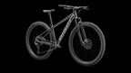 Rockhopper Comp (2026) — Satin Nebula Metallic / Dolomite Metallic — detail 20