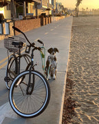 sixthreezero Around the Block Men's 26" 21 Speed Cruiser Bicycle — product view 85
