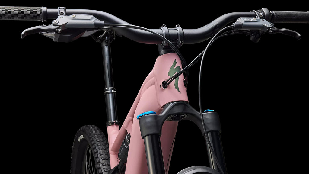 Turbo Levo 4 Comp Alloy (2026) — Satin Dusky Pink / Cypress Metallic — detail 50