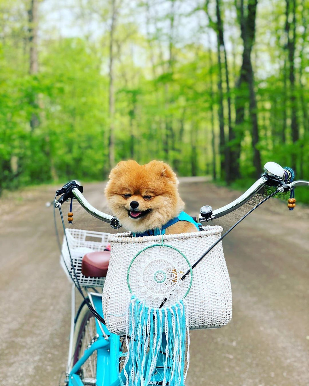 sixthreezero EVRYjourney Women's 26" 7 Speed Steel Step-Through Touring Hybrid Bicycle — product view 61