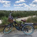 sixthreezero EVRYjourney Women's 26" 7 Speed Steel Step-Through Touring Hybrid Bicycle — product view 221