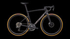 Tarmac SL9 S-Level - SRAM RED AXS (2027) — Satin Carbon / Silver Dust — side view