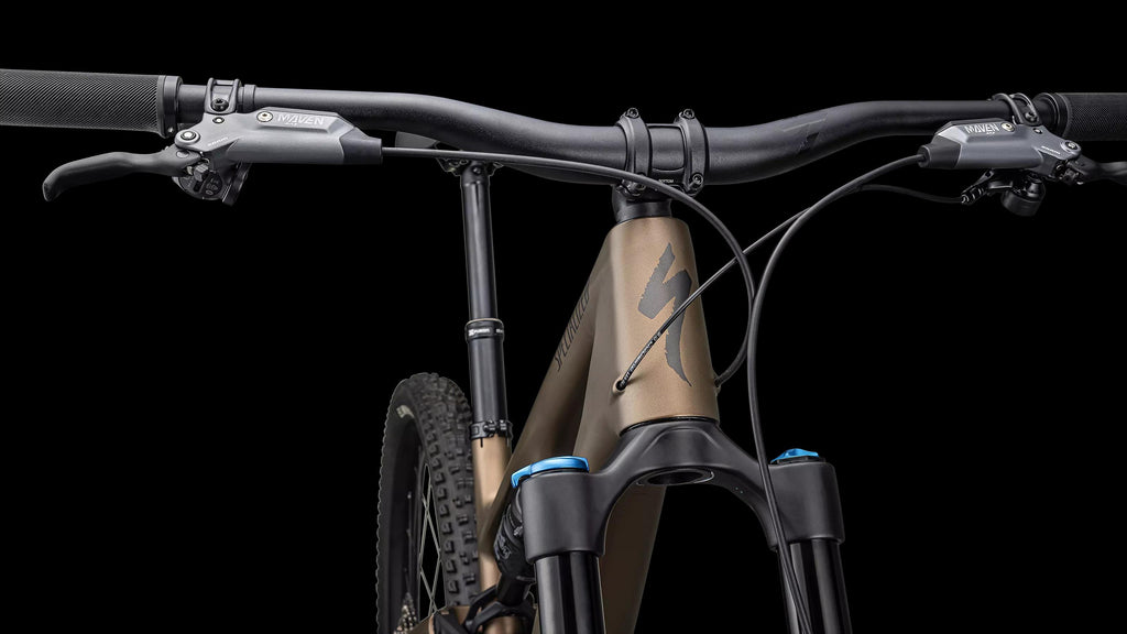 Stumpjumper 15 Comp - SRAM S-1000 AXS, FOX Performance (2025) — Satin Burnt Gold / Gunmetal — detail 50