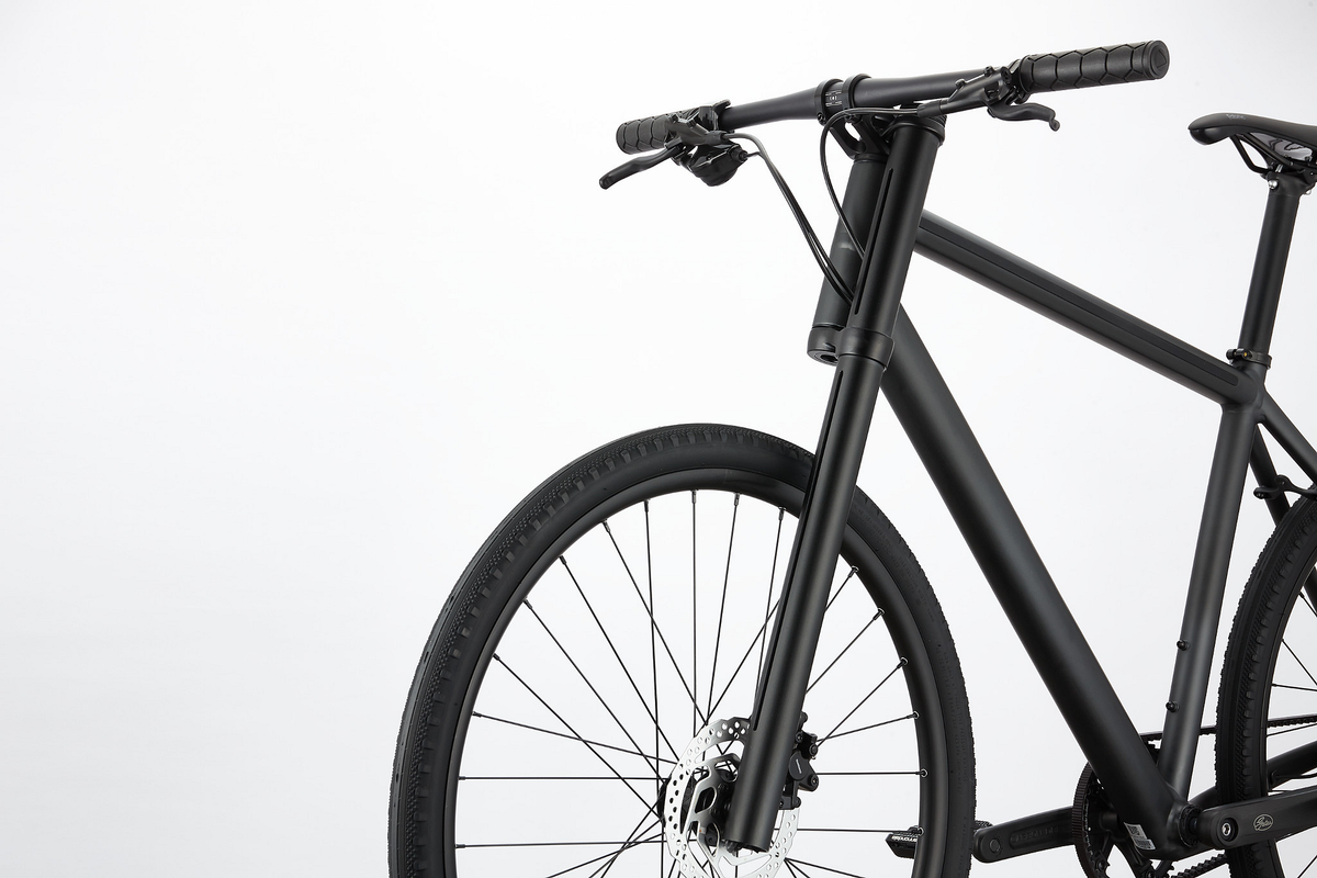 Cannondale Bad Boy 1 2021 — product view 5