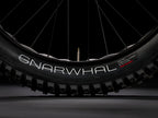 Trek Farley 5 2027 — product view 6