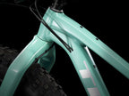 Trek Farley 5 2027 — product view 7