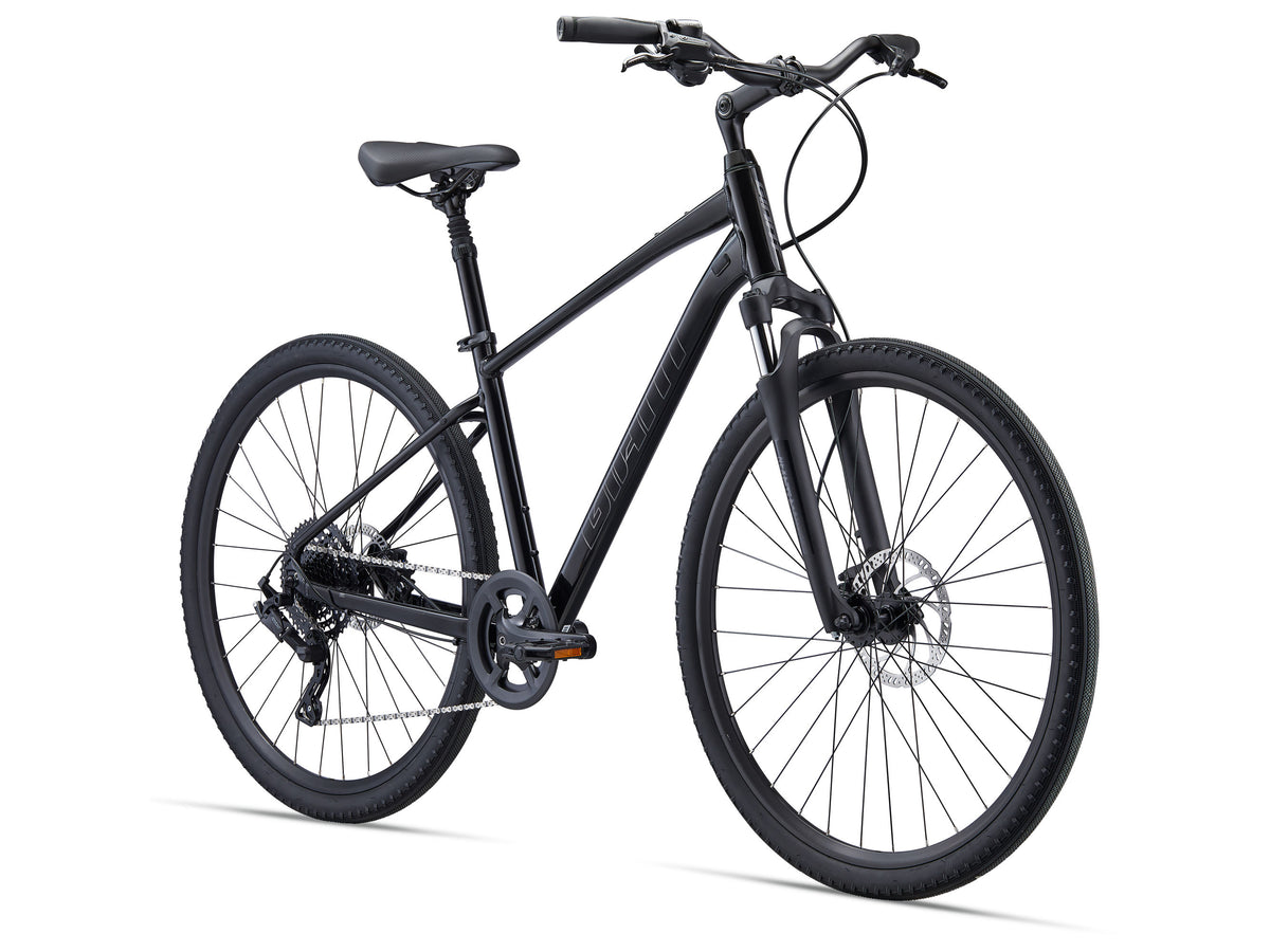 Giant Cypress 2 2025 — product view 4