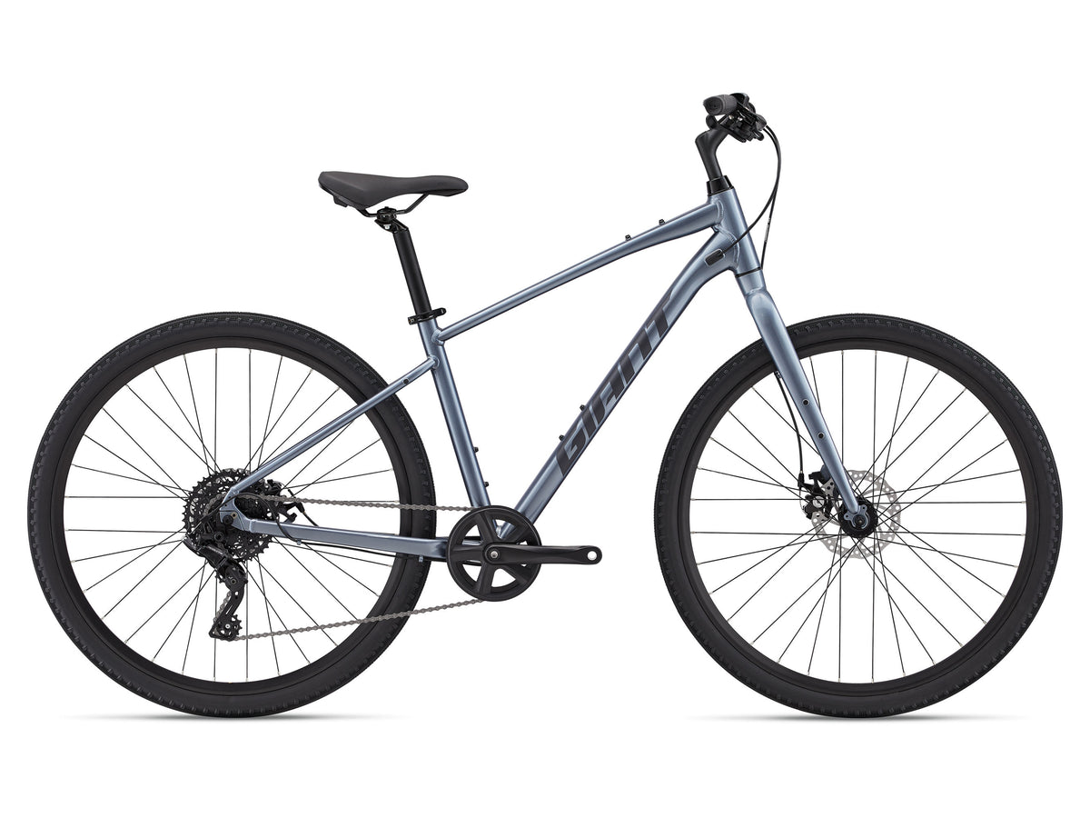Giant Cypress 3 2022 — product view 3