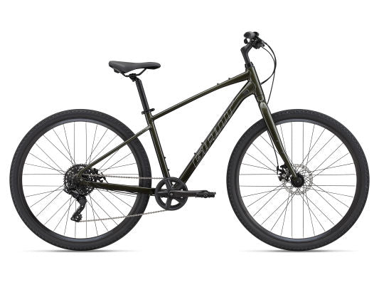 Giant Cypress 3 2022 — product view 2