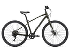 Giant Cypress 3 2022 — product view 2