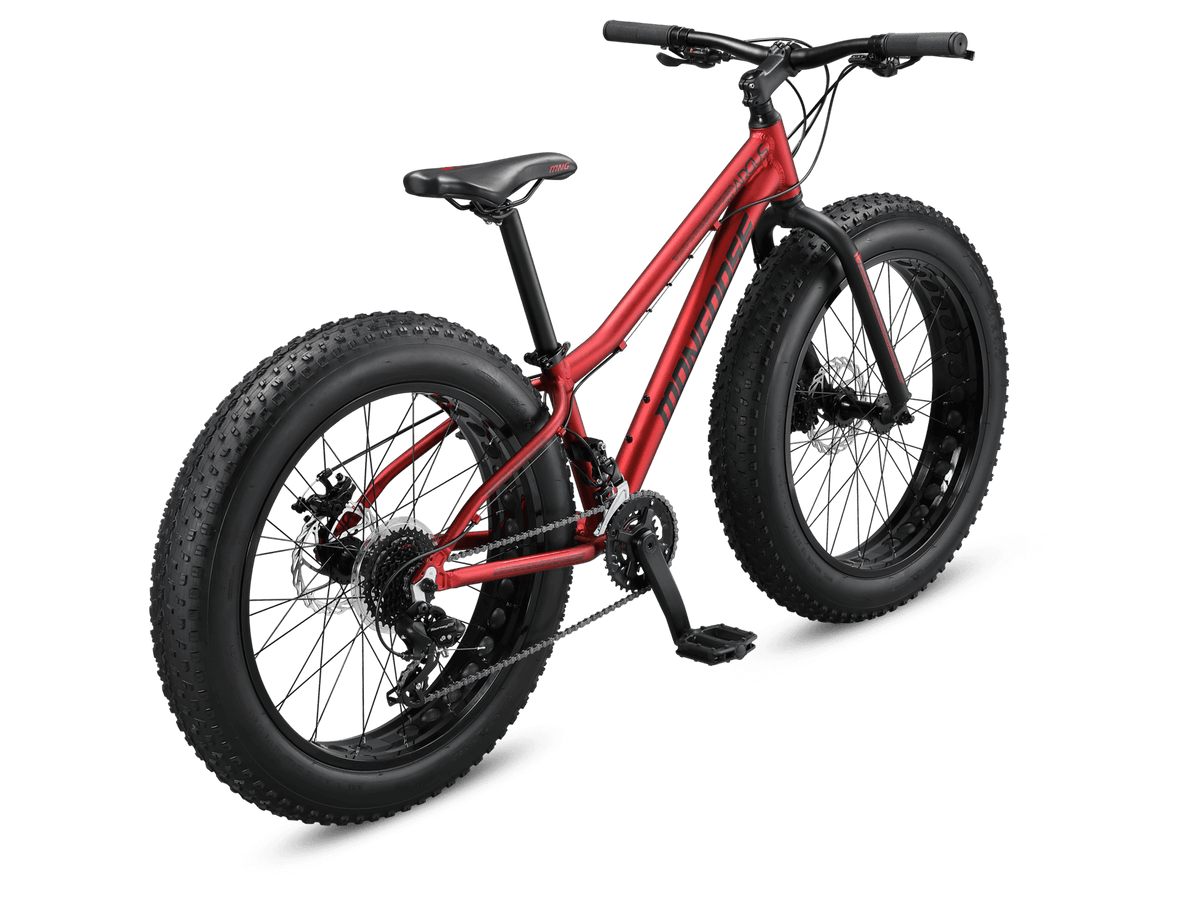 Mongoose Argus Trail 24in — product view 3