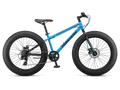 Mongoose Argus ST 24in — product view 1