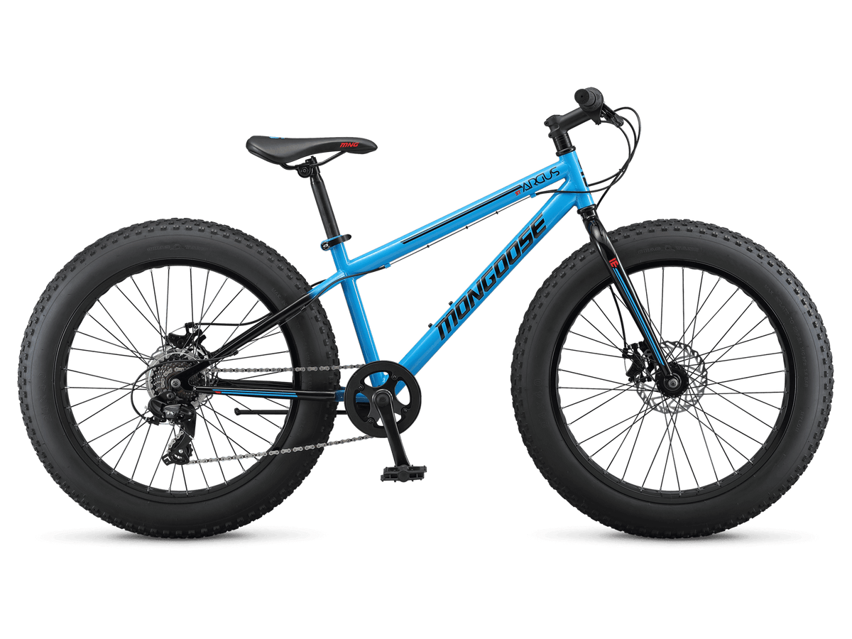 Mongoose Argus ST 24in — product view 1