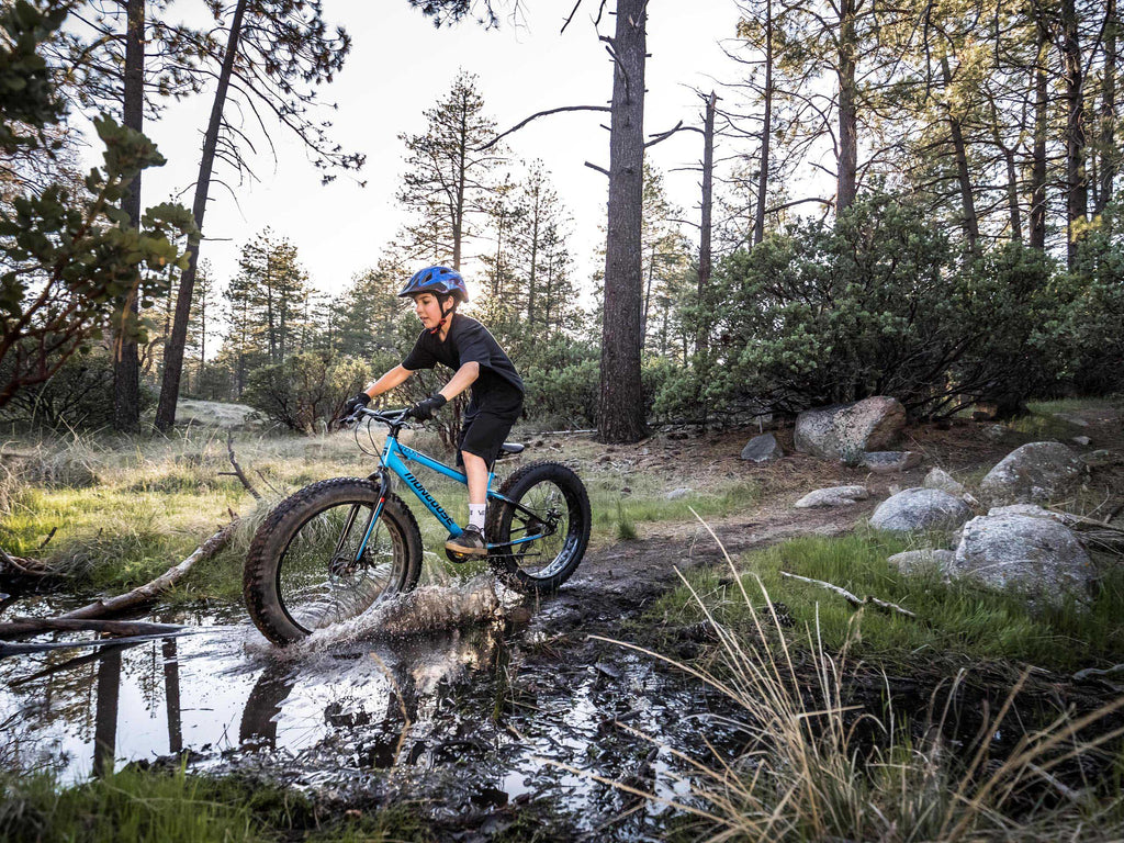 Mongoose Argus ST 24in — product view 3