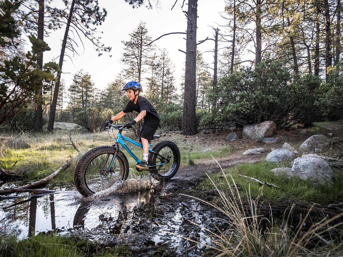 Mongoose Argus ST 24in — product view 3