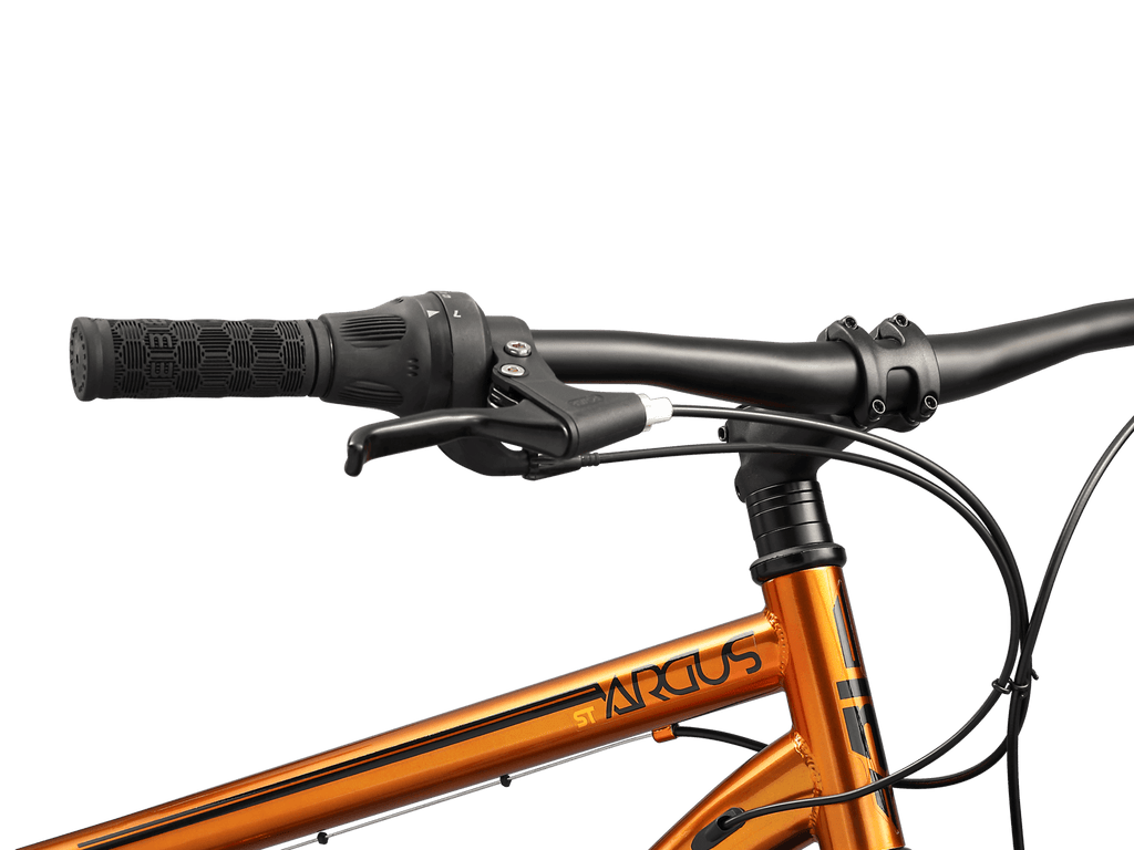 Mongoose Argus ST 26in — product view 5