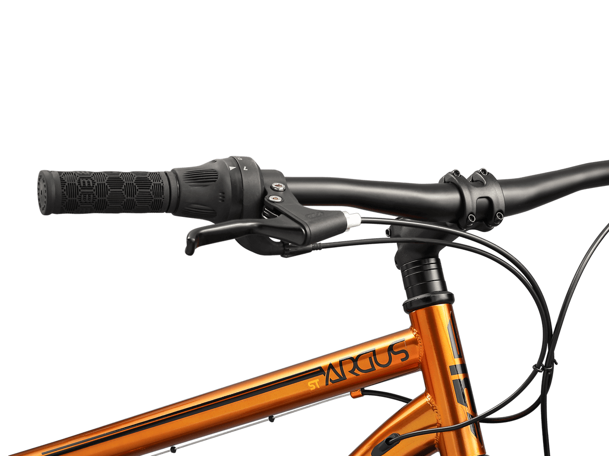 Mongoose Argus ST 26in — product view 5