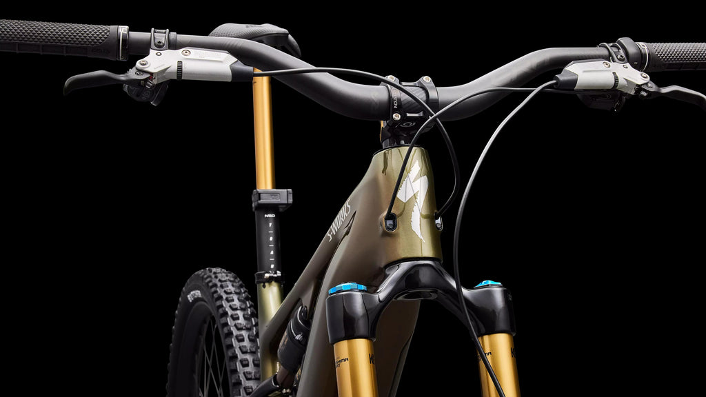 S-Works Turbo Levo 4 (2026) — Gloss Laurel Green / Burnt Gold / Chrome — detail 140