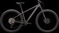 Rockhopper Expert (2024) — Satin Smoke / Gloss Chrome — side view