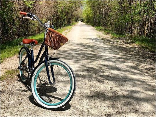 sixthreezero EVRYjourney Women's 24" 7 Speed Step-Through Touring Hybrid Bicycle — product view 185