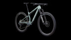 Epic 9 Expert (2027) — Gloss Agave Grey / Metallic White Silver — detail 20