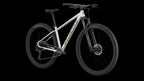 Rockhopper Expert (2025) — Gloss Silver Dust / Satin Burnt Gold Metallic — detail 20