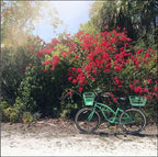 sixthreezero Around the Block Women's 24" 21 Speed Beach Cruiser Bicycle with Rear Rack — product view 90