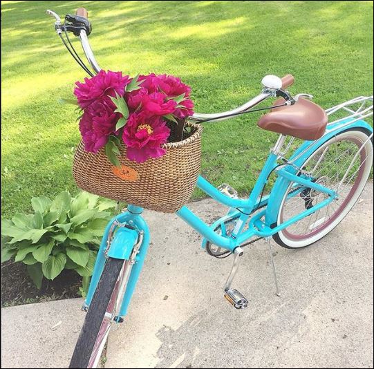 sixthreezero EVRYjourney Women's 26" Single Speed Step-Through Touring Hybrid Bicycle — product view 159