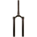 RockShox CSU 29 TPR BLK 15X100 SID B1/REBA A7 — image 1