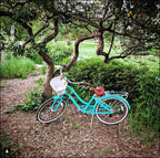 sixthreezero EVRYjourney Women's 24" 7 Speed Step-Through Touring Hybrid Bicycle — product view 239