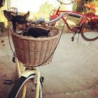 sixthreezero EVRYjourney Women's 26" Single Speed Step-Through Touring Hybrid Bicycle — product view 190