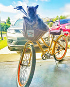 sixthreezero EVRYjourney Women's 26" Single Speed Step-Through Touring Hybrid Bicycle — product view 203