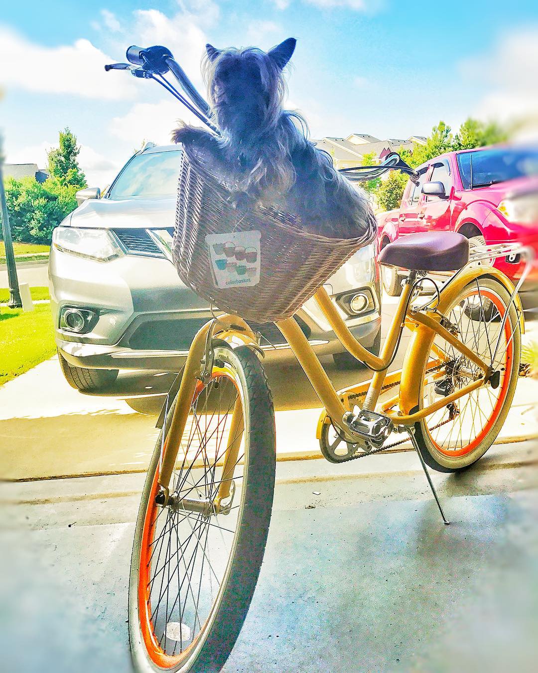sixthreezero EVRYjourney Women's 26" Single Speed Step-Through Touring Hybrid Bicycle — product view 203